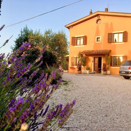 סן קלמנטה Locanda Della Lavanda מראה חיצוני תמונה