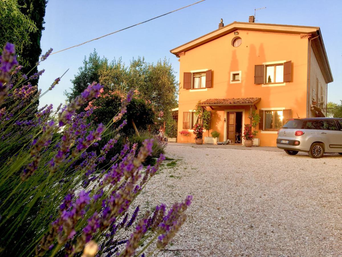 סן קלמנטה Locanda Della Lavanda מראה חיצוני תמונה